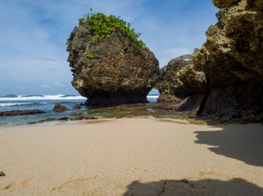 Deniz manzarası ve mavi gökyüzü artı yeşil yapraklar.