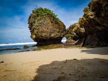 Deniz manzarası ve mavi gökyüzü artı yeşil yapraklar.