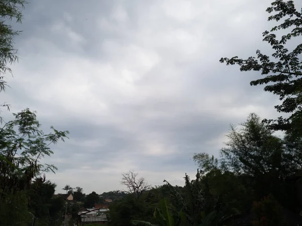 Pemandangan Alami Langit Biru Ditambah Daun Hijau — Stok Foto