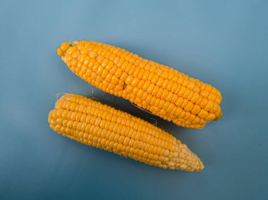 Sarı çiğ mısır pişirmeye hazır.