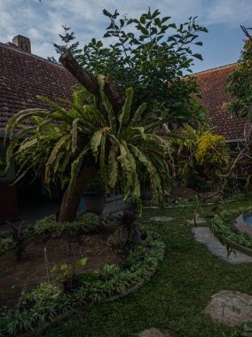 Binanın önündeki ağaç manzaralı bir arka plan.