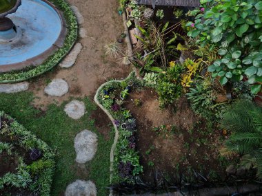School garden with blue pond with plants around it