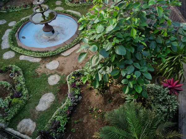 School garden with blue pond with plants around it