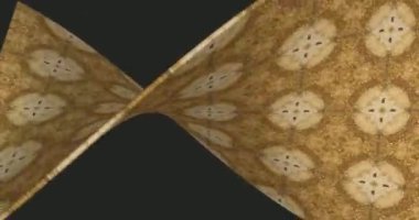 Güzel doku kaleydoskopik tasarım, soyut kaleydoskop arkaplan, eşsiz kaleydoskop animasyonu.