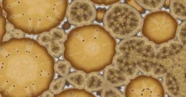 Güzel doku kaleydoskopik tasarım, soyut kaleydoskop arkaplan, eşsiz kaleydoskop animasyonu.