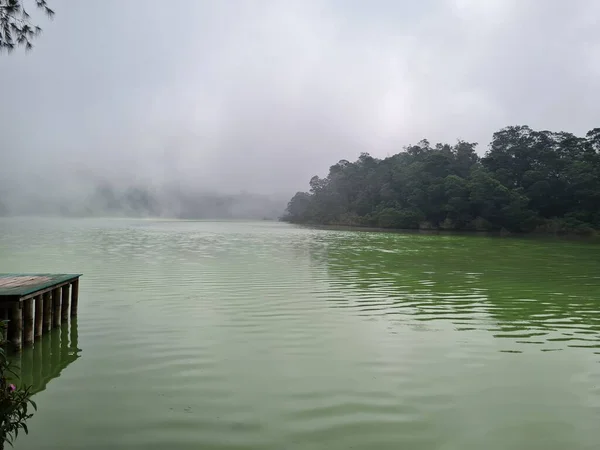 Natural Scenery Green Lake Surrounded Trees Fog — Stockfoto