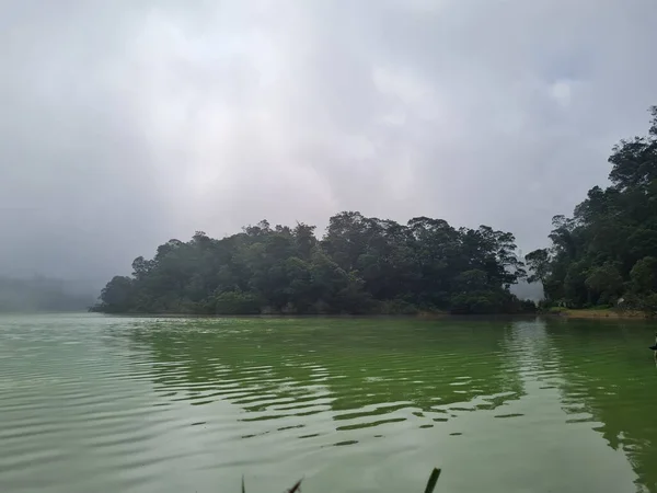 Natural Scenery Green Lake Surrounded Trees Fog — Stock Fotó