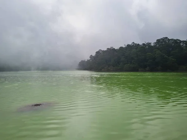 Природні Пейзажі Зелене Озеро Оточене Деревами Туманом — стокове фото