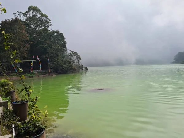 Natural Scenery Green Lake Surrounded Trees Fog — Fotografia de Stock