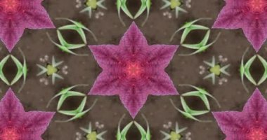 Beautiful texture kaleidoscopic design, abstract kaleidoscope backgroun