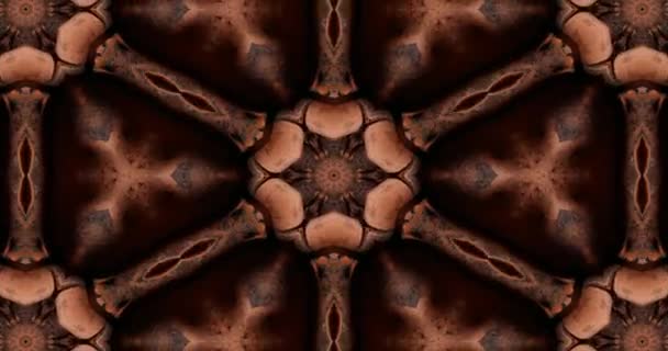 Beautiful Texture Kaleidoscopic Design Abstract Kaleidoscope Backgroun — 图库视频影像