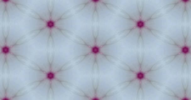 Krásná Textura Kaleidoskopický Design Abstraktní Kaleidoskop Pozadí Unikátní Kaleidoskop Animace — Stock video