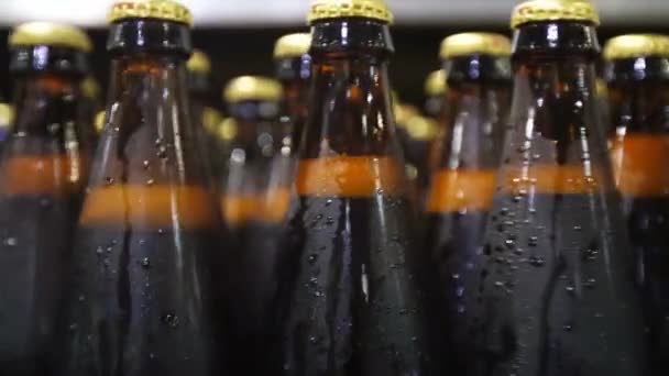 Flessen Bier Gaan Door Transportband — Stockvideo