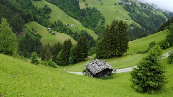 Vista Aérea Típico Paisaje Alpino Antigua Cabaña Madera Amplio Prado — Vídeo de stock