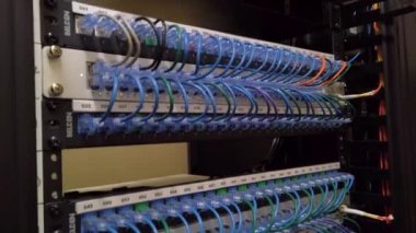 Ethernet Sunucu Rafında Kablolu Çalışan Bir Erkek Eli Çekimi