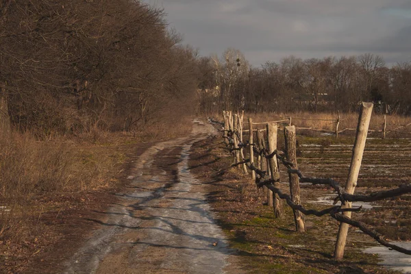 Road Gardens Forest — Fotografia de Stock