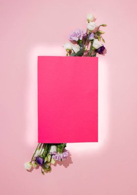 Bahar çiçekleri ve büyük siklamen yaprakları olan yaratıcı bir kavram. Pastel pembe arka planda kağıt kopyalama alanı. Violet Square, güller ve karanfil. Minimal doğa düzlüğü. Sevgililer günü ya da kadınlar günü için ideal..