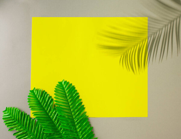 Creative layout made of green tropical leaves on yellow and beige background. Minimal summer exotic concept with copy space. Border arrangement.