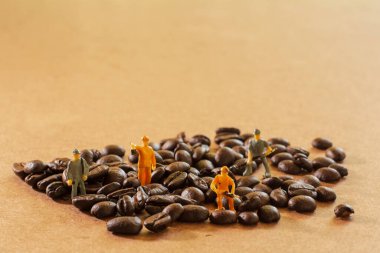 Takım çalışması yapan bir grup minyatür insan, küçük model insan figürü kahve çekirdeklerini ahşap masada temizliyor. Uzayı kopyala Yiyecek ve içecek konsepti.