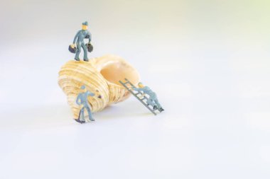 Takım çalışması yapan bir grup minyatür insan, küçük model insan figürü temizlik ve metin için kopya alanı olan deniz kabuğu. Deniz konseptini sakla..