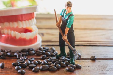 Minyatür ya da küçük bir çiftçi ahşap masada kahve çekirdeklerini temizler ve kahverengi arka planda takma dişleri vardır. Diş konsepti için sağlıksız içecek.