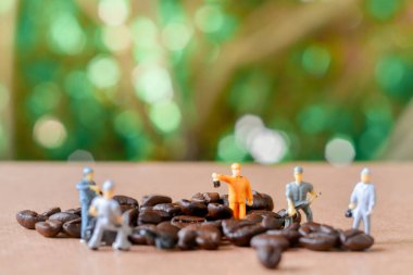 Takım çalışması yapan bir grup minyatür insan, küçük model insan figürü yeşil bokeh arka planlı ahşap masa üzerindeki kahve çekirdeklerini temizliyor. Uzayı kopyala Yiyecek ve içecek konsepti.