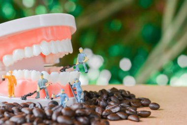 Takım çalışması yapan minyatür insanlar, kahve çekirdeklerini temizleyen küçük model insan figürü ve...