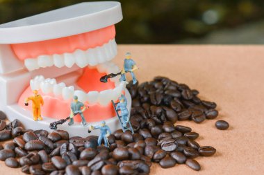 Takım çalışması yapan minyatür insanlar, kahve çekirdeklerini temizleyen küçük model insan figürü ve...