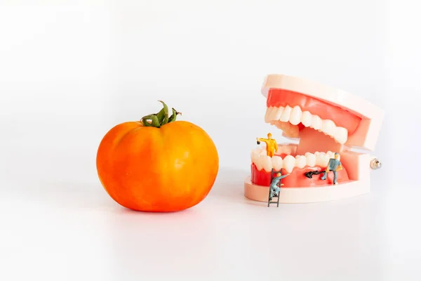 Personnes Miniatures Petite Figure Humaine Modèle Propre Dents Modèle Tomate — Photo
