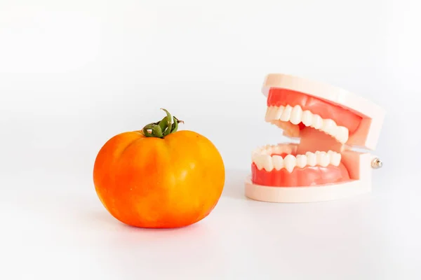 Tomate Fraîche Avec Prothèse Dentaire Sur Fond Blanc Avec Espace — Photo