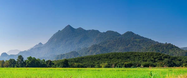 Belle Montagne Champ Vert Avec Ciel Bleu Clair Chiangrai Thaïlande — Photo
