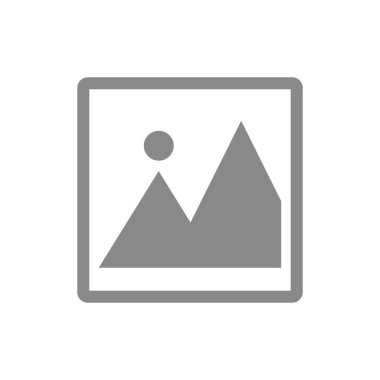 Gray photo icon. Simple vector.