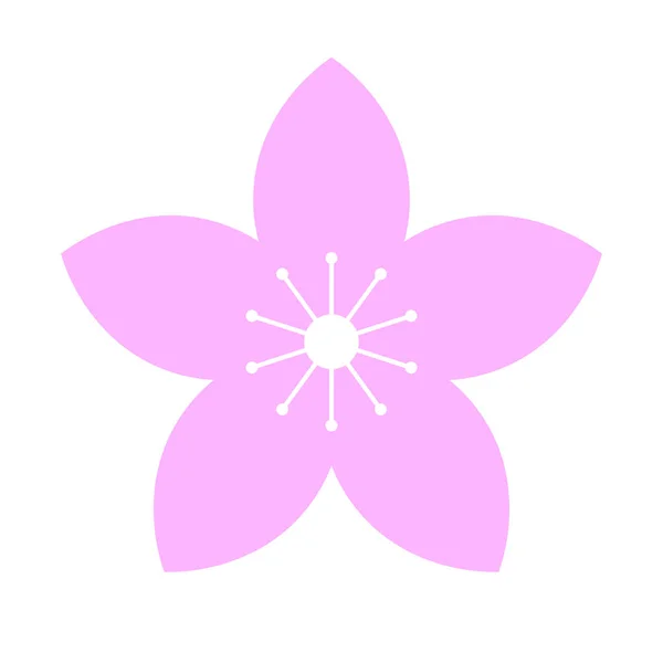 Pink Cherry Blossoms Flowers Bloom Spring Season Editable Vector — Stock Vector