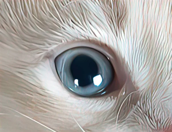 Zwierzęce Oczy Silny Wygląd — Zdjęcie stockowe