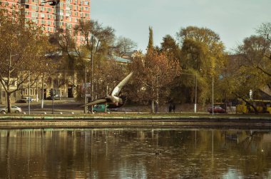 Bu uçan bir güvercin.