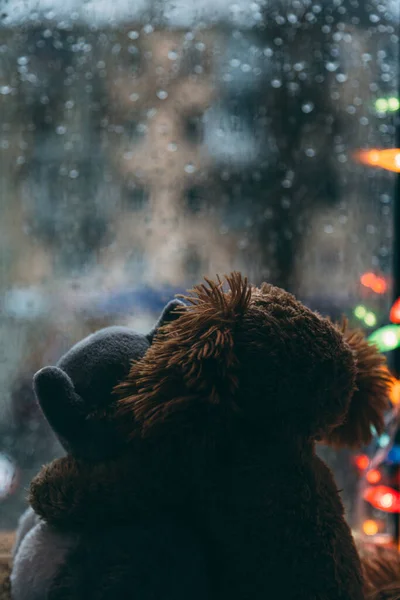 Twee omhelzende liefdevolle vrienden kat en hond speelgoed knuffelen zittend op vensterbank, kijkend in het raam. Het regent buiten. Kerstverlichting — Stockfoto