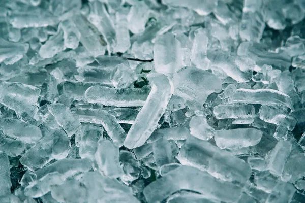 Umgestürztes Eis Von Bäumen Nach Eisigem Wintersturm Vereiste Bäume Nach — Stockfoto