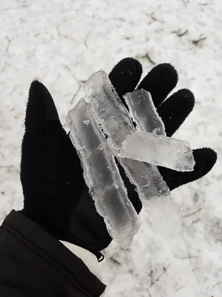 Hand Hält Umgestürzte Eisstücke Von Bäumen Nach Eisigem Wintersturm Vereiste — Stockfoto