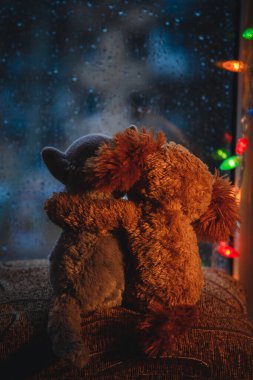 Birbirlerini seven iki arkadaş kedi ve köpek oyuncağı pencere eşiğinde oturup pencereden bakıyorlar. Dışarıda yağmur yağıyor. Noel ışığı.
