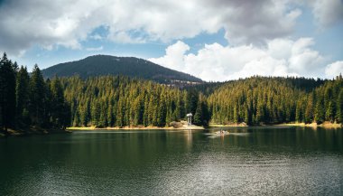 Dağ gölü ormanla çevrili, doğanın ahengi.