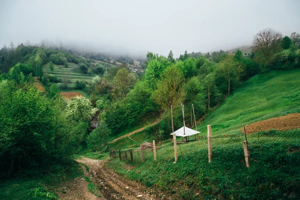 Prachtige Natuur Berglandschap Mist Landweg Zonnige Ochtend Plaats Karpaten Oekraïne — Stockfoto