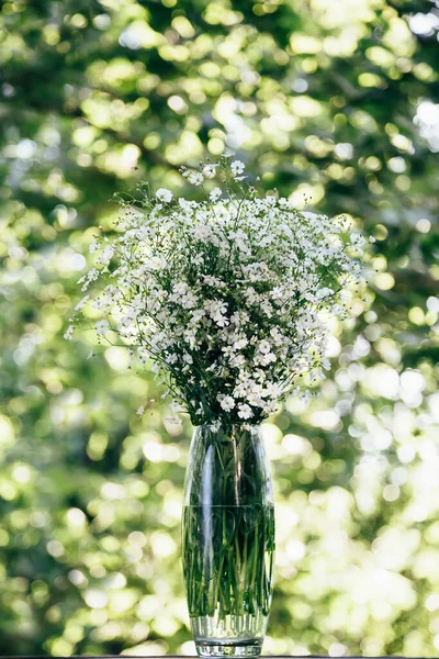 Bouquet Fresh Little White Flowers Gypsophila Glass Vase Outdoors Green — Fotografia de Stock