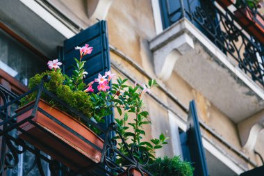 Pembe çiçeklerle dolu eski bir balkon Venedik, İtalya 'nın merkezindeki eski bir binanın ön cephesinin ayrıntıları. San Zaccaria Kilisesi önünde..