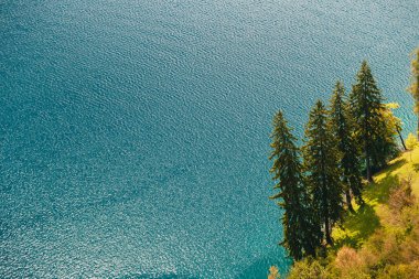 Close up aerial view of lonely fir trees on the clear blue water background on the bank of the lake Bled in Slovenia