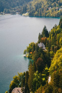 Close up aerial view of the part of the lake Bled in Slovenia. A small house on the bank surrounded by forest