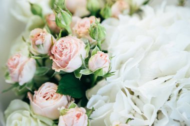 A beautiful soft background of small pink roses and white hortensia, close up view.