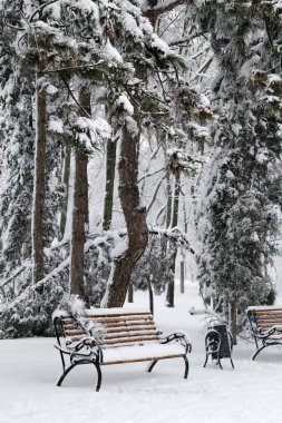 Bench in park with falling fir and pine trees after sleet load and heavy snow at the background. Snow-covered winter street in a city. Weather forecast concept. Snowy winter.
