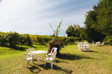 Vineyard, tables ready for a wine tasting, an authentic Italian wine country setting in Marche region.
