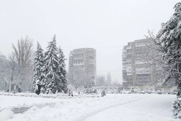 Snow Covered Winter Street City Trees Covered Ice Snow Sleet — Foto de Stock