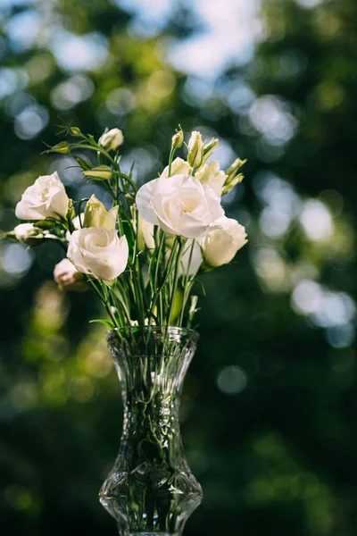 Buquê Rosas Brancas Frescas Fundo Borrão Verde Pequeno Vaso Ensolarado — Fotografia de Stock